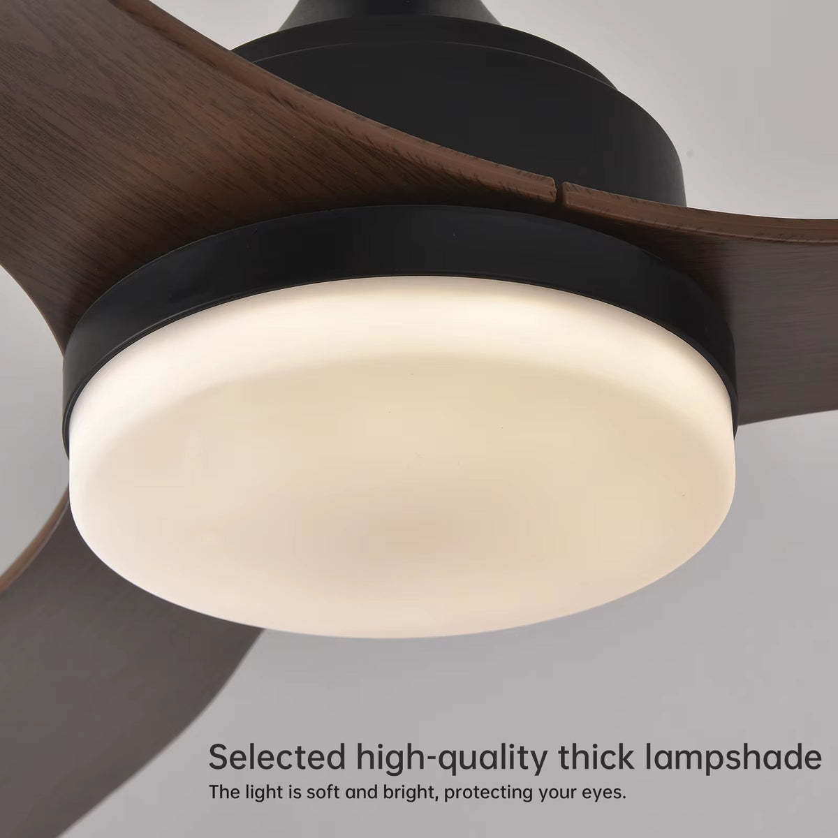 Detail of the Chinook LED diffuser and dark timber-look blade